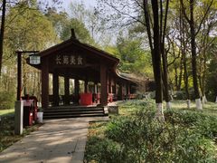 -邓小平故里