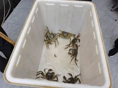 -蟹状元大闸蟹·年货·粽子(成都成华店)