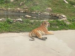 -西安秦岭野生动物园
