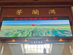-茅兰沟国家森林公园