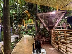 -正佳雨林生态植物园