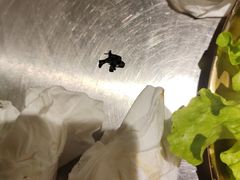 -炉队长·齐齐哈尔家庭烤肉(马家堡店)