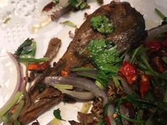 -吉香碳烤生蚝(仙霞路店)