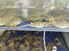 -阳澄湖大闸蟹·琼灵阁牌品牌连锁(吴中总店)