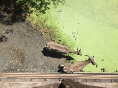 -沈阳森林动物园