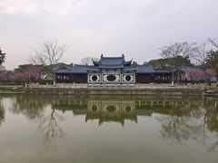 -江心屿景区