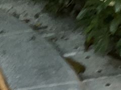 -碧水湾温泉