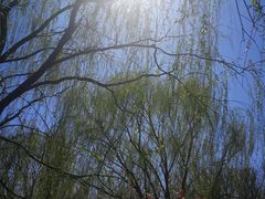 -北运河水利风景区