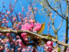 -苏州河梦清园环保主题公园