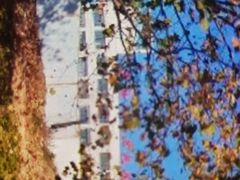 -崂山区第二实验小学