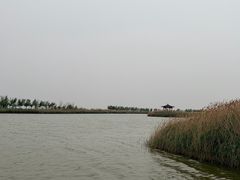-南大港湿地风景区