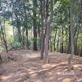 六片山