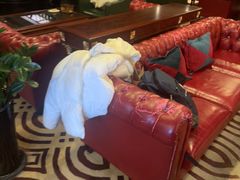 -上海锦江汤臣洲际大酒店柒酒廊