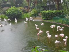 -九龙公园