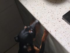 -首开·龙湖成都西宸天街