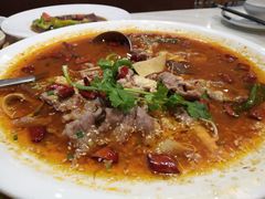 -培万河间驴火•驴肉火锅(东平店)