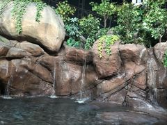 -上海海洋水族馆