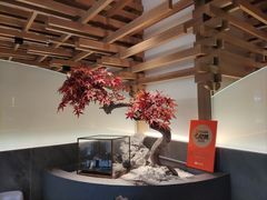 -阿吾罗·月咏精致日料(港汇恒隆广场店)