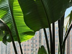 -长安大学(北校区)