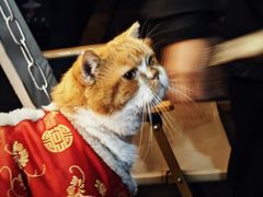 -伊藤洋华堂(高新店)