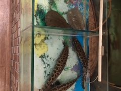 -南方酒店·淮扬菜(回民街店)