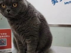 -美美宠物诊疗中心·异宠·骨科(滨江东信分院)