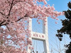 -玛格萝妮比萨屋(陆家浜路店)