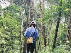 -青龙山国家森林公园