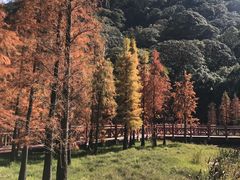 -广州市石门国家森林公园