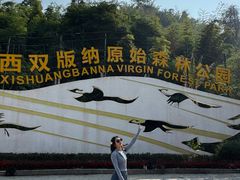 -西双版纳原始森林公园