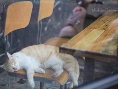 -甘味食堂(素食料理/蔬食料理/恆春美食)