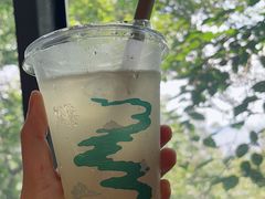 -茶颜悦色(岳麓山顶店)