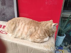 -武汉境自在書店