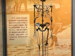 -天津自然博物馆