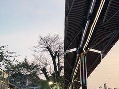 -老幺泉水鸡