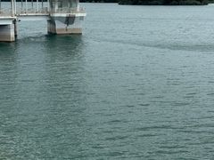 -仙海旅游度假区