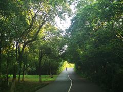 -艾溪湖湿地公园