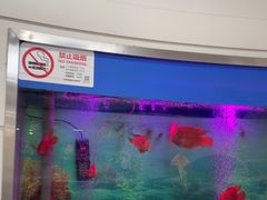 -雅悦齿科(顾村公园店)