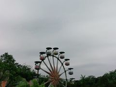 -乐和乐都动物主题乐园
