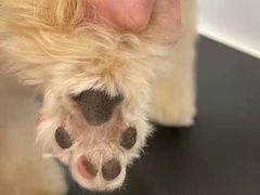 -comecome来吧宠物(奥克斯中心店)