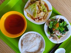 -浙江越秀外国语学院