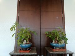 -半岛太子酒家(海港城店)