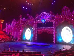 -珠海横琴长隆《卡卡虎奇遇记》