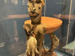 -美国自然历史博物馆