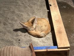 点击看大图 -Zoolung Zoolung动物主题公园(海信广场店)