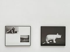 -时代美术馆-成都馆