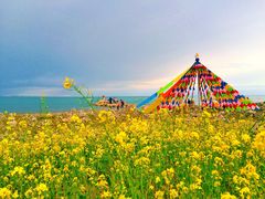-青海湖国家重点风景名胜区