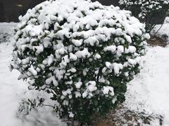 -马路边边 传媒大学店