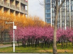 -河南财经政法大学(郑东校区)