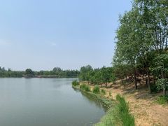 -东郊湿地公园